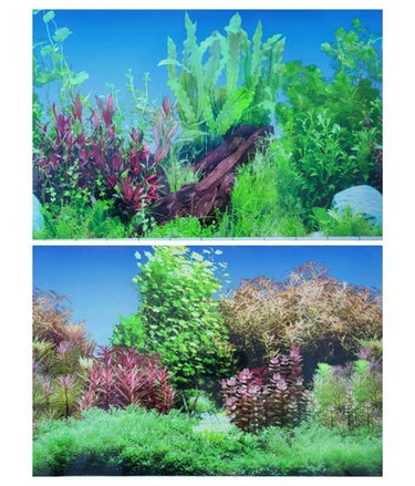 KW Zone Aquarium Backscreen (Picture) 15